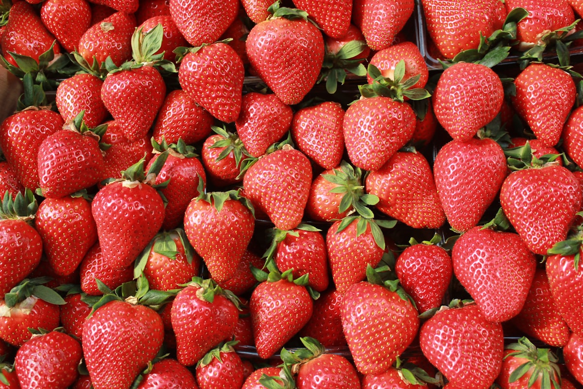 Naturalnie bogate źródła mikronutrientów